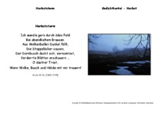 Herbststurm-Wille.pdf